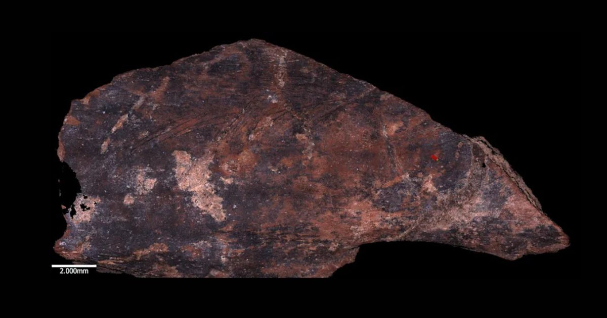 AncientHistX's tweet card. Neanderthals in neighboring Israeli caves had distinct butchery traditions, suggesting culturally inherited food practices 70,000 years ago.