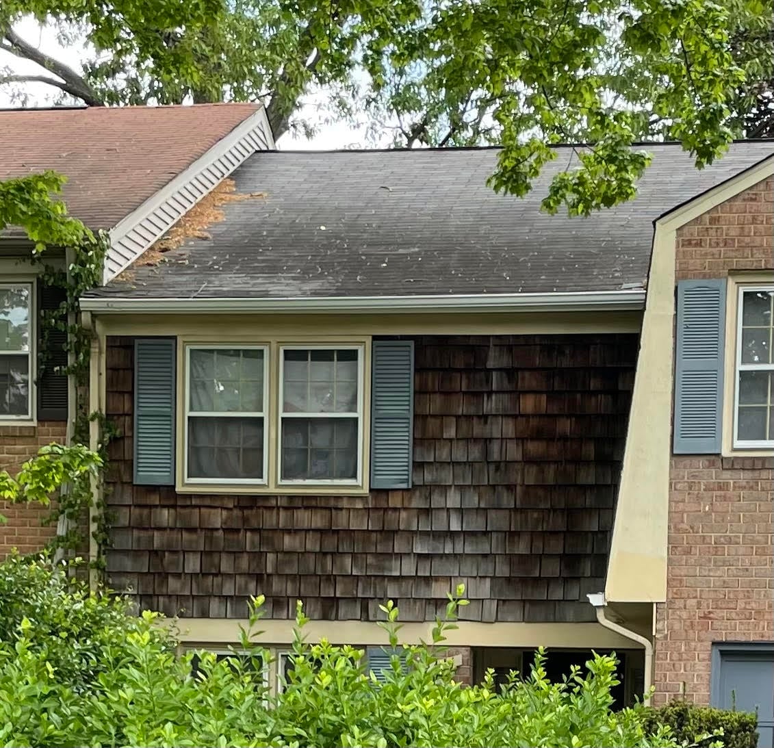 DanMorseWP's tweet card. Cynthia Moore ostensibly home-schooled her children but didn’t teach them, a judge said. Dog and cat feces covered the floors. Moore kept the refrigerator door locked.
