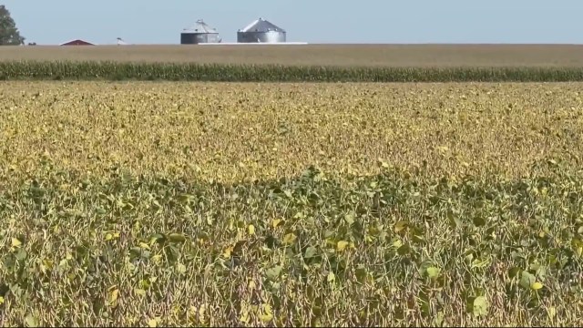 RepFeenstra's tweet card. On Thursday, Iowa Fourth District Congressman Randy Feenstra announced he helped introduce a bill to focus on foreign buyers of land in this country.