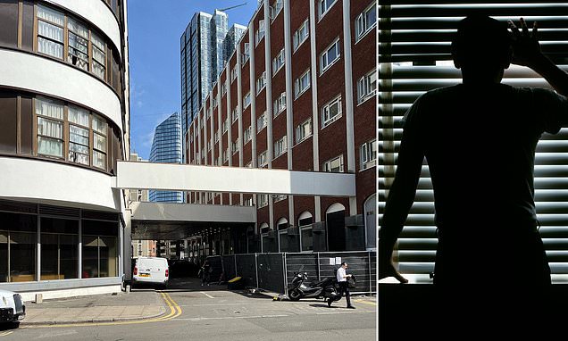 MrWinMarshall's tweet card. Records show migrants staying at the hotel in central London have been accused of offences including sexual assault, theft, burglary, carrying knives, and assault over the past three years.