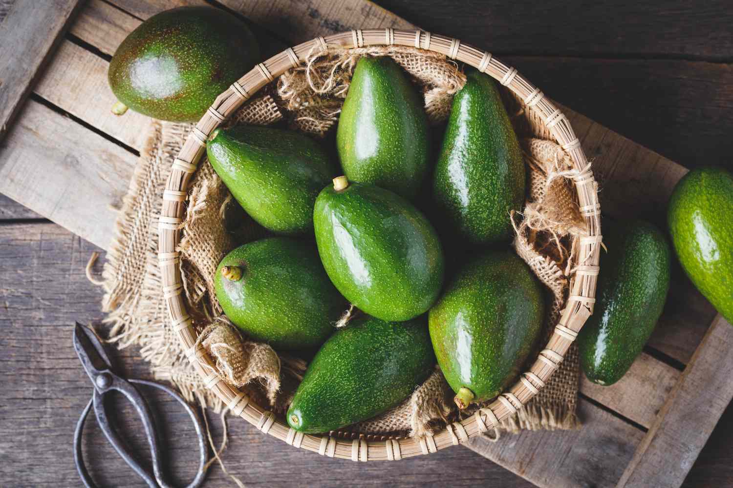uwmnewsroom's tweet card. New research found that eating an avocado every day may support your sleep health and improve cholesterol levels.