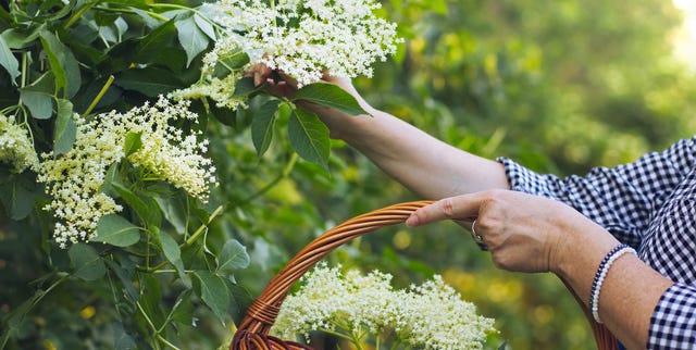 countrylivinguk's tweet card. Make the most of nature's bountiful pantry