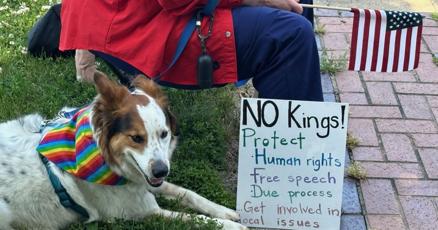 mbw61567742's tweet card. A crowd of sign-carrying, "No Kings"-chanting demonstrators estimated to be in the thousands turned out Saturday in Urbana, part of a nationwide day of defiance against the Donald Trump administrat...