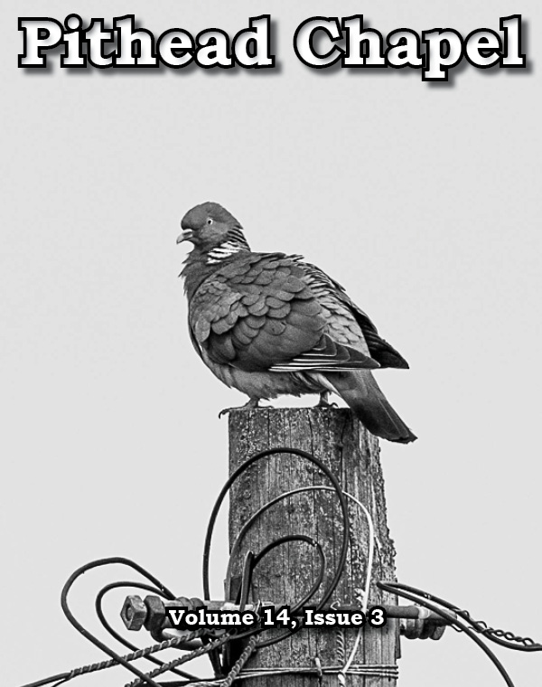 PitheadChapel's tweet card. COVER ART BY heather d haigh   FICTION Nervous Thing by Ani King REHAB, TAKE THREE BY ANGELA JAMES SQUIRRELS BY BEN GIBBONS SWINGSET BIRD BY JODY HOBBS HESLER   NONFICTION THAT’S ALL ANYO…