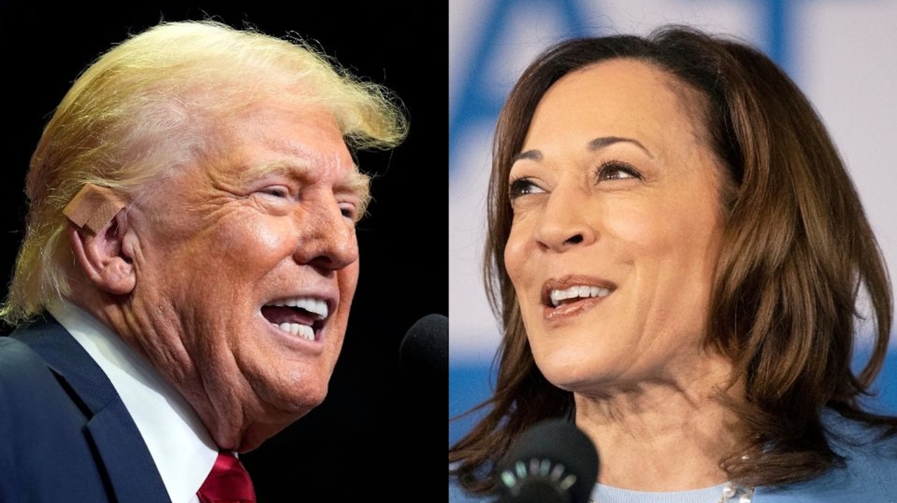 hannah_denham1's tweet card. The list includes a former Alabama football star and one man who donated thousands to both Trump and the Democratic campaign.