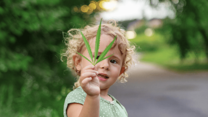 NORML's tweet card. Alertness, communication, socialization, attentiveness, and anxiety