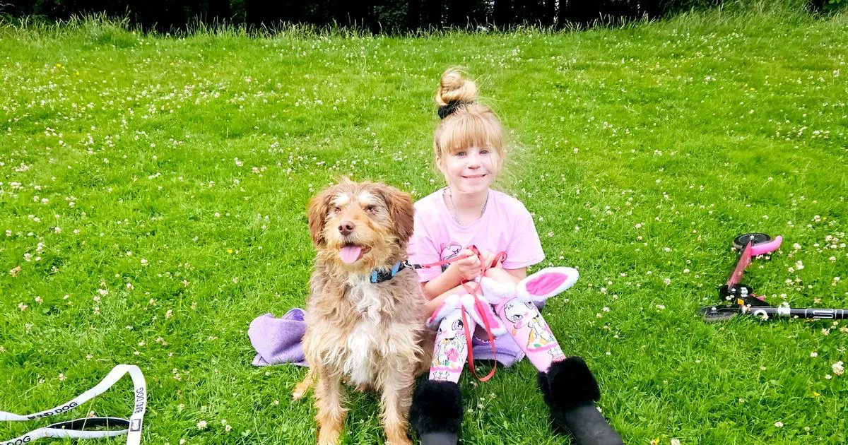 Sunday_Mail's tweet card. Otto’s eyeballs were gouged from their sockets by thugs because he was barking in a garden but he is now settling into his new life in Scotland.