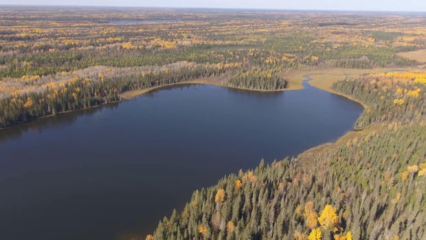 EliotJacobson's tweet card. A new government model to estimate peatland emissions and their impact on climate change could provide a new perspective on the problem — and spark new discussions about solutions.