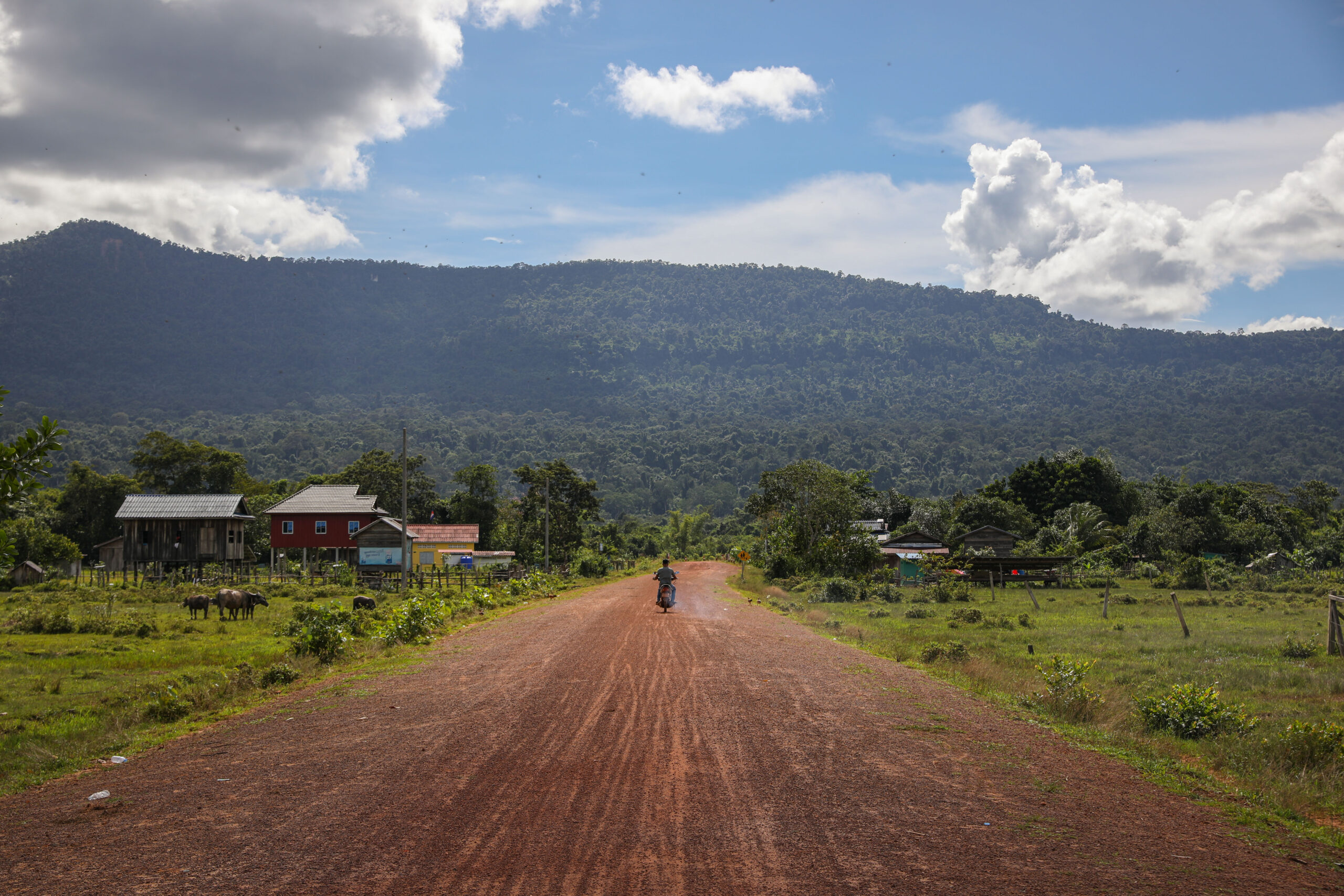 SEA_GLOBE's tweet card. With controversy in its Southern Cardamom REDD+ project, the country is driving ahead on a major expansion of its climate finance schemes.