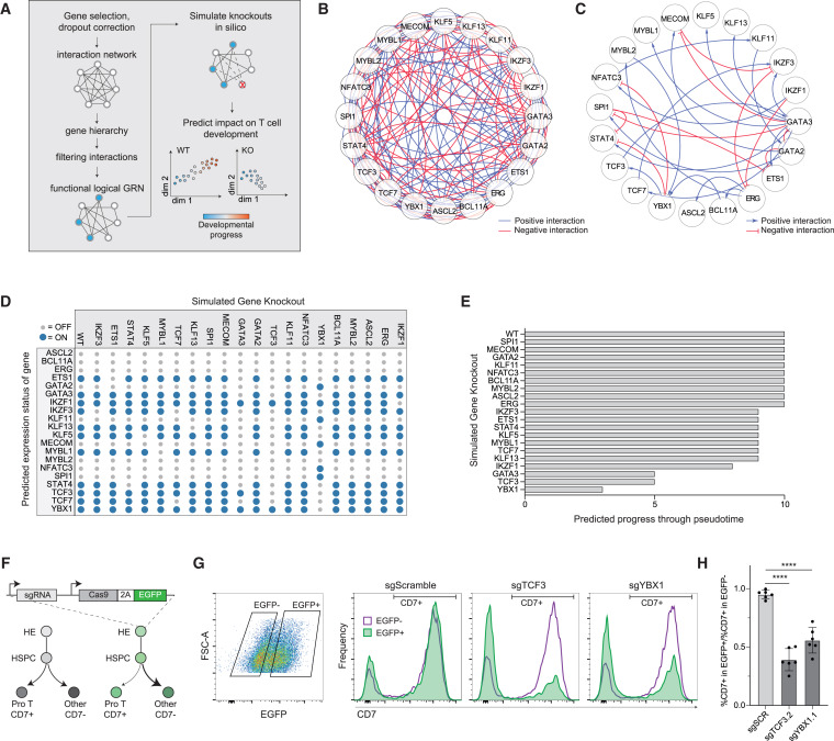 PZandstra's tweet card. Michaels et al. use in vitro differentiation to analyze the gene expression programs and fate hierarchy that underlie human mast, myeloid, and T lineage specification with fine temporal and clonal...