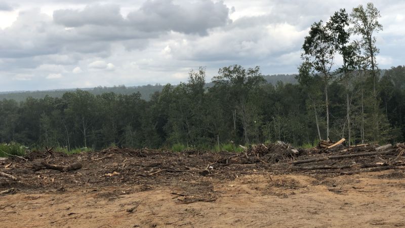 Tarpsoff1's tweet card. “Welcome to Freedom!” exclaims real estate agent Ashley Scott as she surveys the nearly 97 acres of land that she and a group of 19 Black families purchased in August.