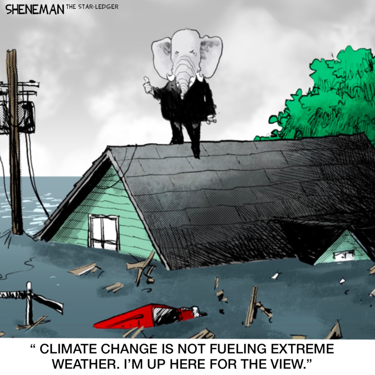 littoralguy's tweet card. We’re going to have to find a new term for 100 year floods, because they’re occurring with a shocking regularity that belies their name.