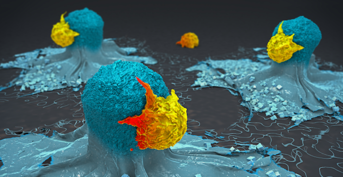 SinaiImmunol's tweet card. The first machine learning-based tool that can predict immune checkpoint inhibitor (ICI) response using routine clinical data has been developed.