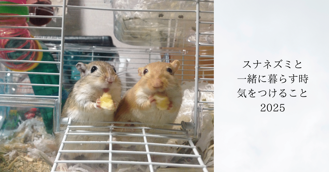 Suna_gadget's tweet card. 本記事が2021年版だったので、一部を改訂した。 はじめに 本ページには事故の事例が記載されております。不快に感じる方もいらっしゃると思いますので、その可能性があると思われる方はブラウザを閉じて下さい。 少しでもスナネズミ達の為になることを願っています。 ちなみにXでたまに見かける「うちの子が〇〇という状況なのですが、アドバイスお願いします」的な投稿。 厳しい書き方になりますが、Xに回答を求...