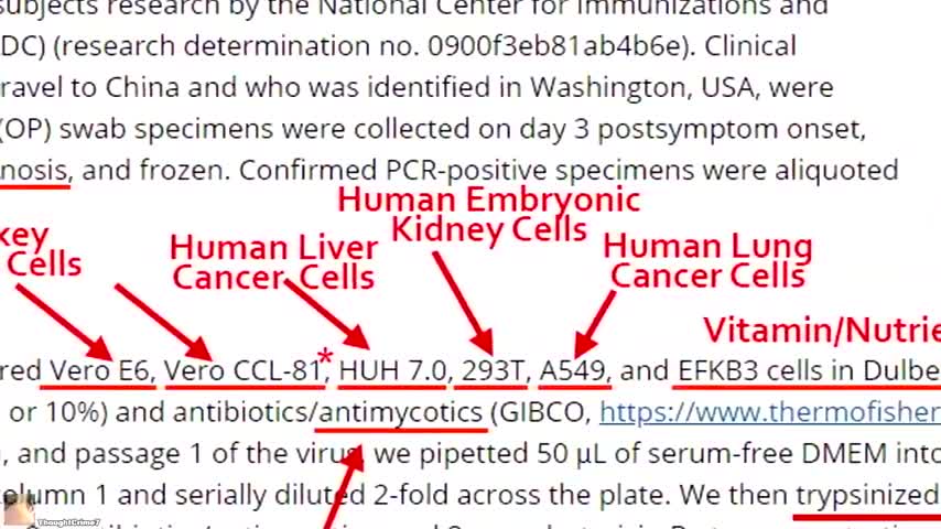 TrevorJukes1's tweet card. Absolute scam of the century! Dr. Andrew Kaufman: https://andrewkaufmanmd.com/ SOVI - Statement on Virus Isolation - Add your name: https://andrewkaufmanmd.com/sovi/ Dr. Tom Cowan: https://drtomcowan.
