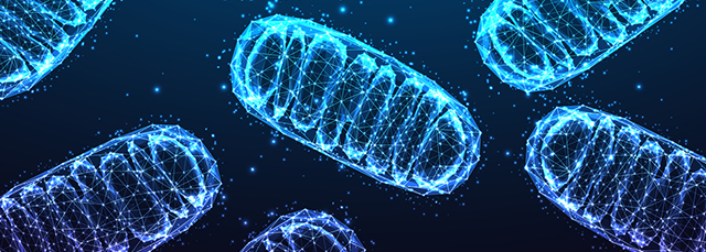 movedisorder's tweet card. The number of mitochondrial DNA copies within blood cells, or mtDNA-CN, could also function as a diagnostic biomarker for PD.