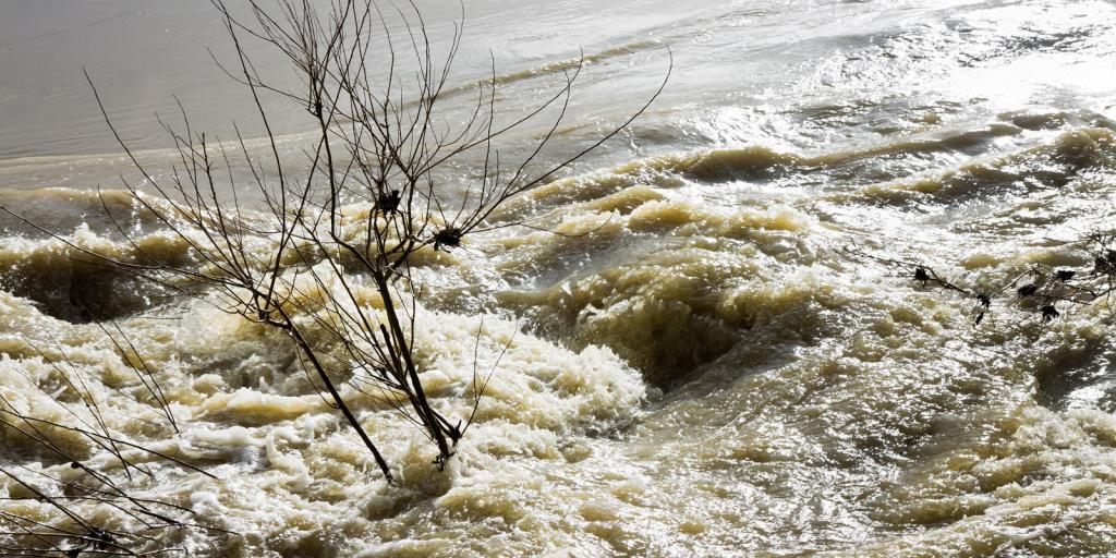 SanAngeloLIVE's tweet card. Texas adds more counties to flood emergency declaration; federal aid requested.