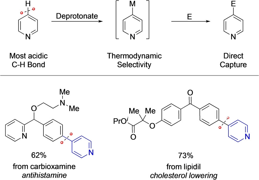 AThomasLab's tweet card. n-Butylsodium can be used to selectively deprotonate pyridine at the C4 position, in sharp contrast to organolithium reagents which lead to nucleophilic addition at the C2 position. A wide range of...