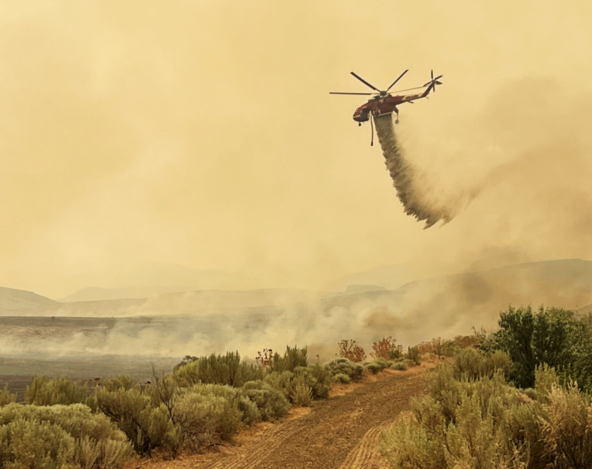ORCapChronicle's tweet card. The state owes more than $200 million to firefighters and contractors who helped put out more than 2,000 fires this summer and fall.