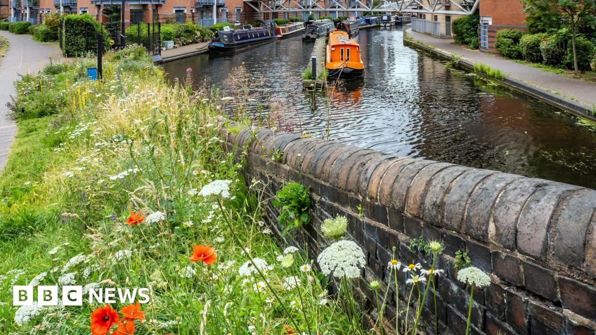 TonyWhi57994372's tweet card. Birmingham is recognised for its commitment to providing better access to nature.