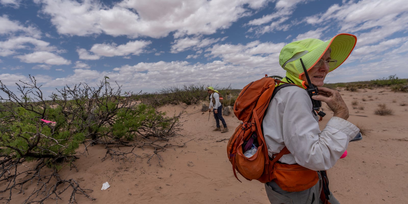 laurenvillagran's tweet card. In Border Patrol's El Paso Sector, the remains of 176 migrants were recovered last year.