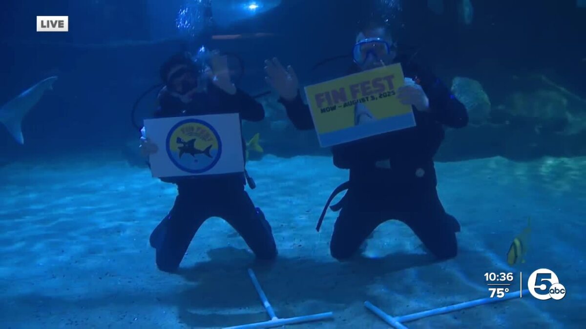 cleaquarium's tweet card. The event runs through Aug. 5 and gives guests a closer look at the four species of sharks in the aquarium's tanks through various events.