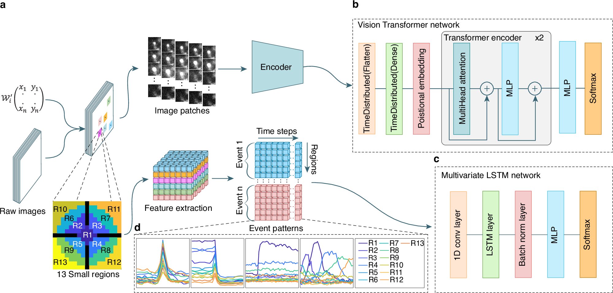 sgqcheng's tweet card. Nature Communications - Activity recognition in live-cell imaging is laborious. Here, authors present, IVEA, a fully automated AI ImageJ plugin, that efficiently detects and classifies exocytosis...