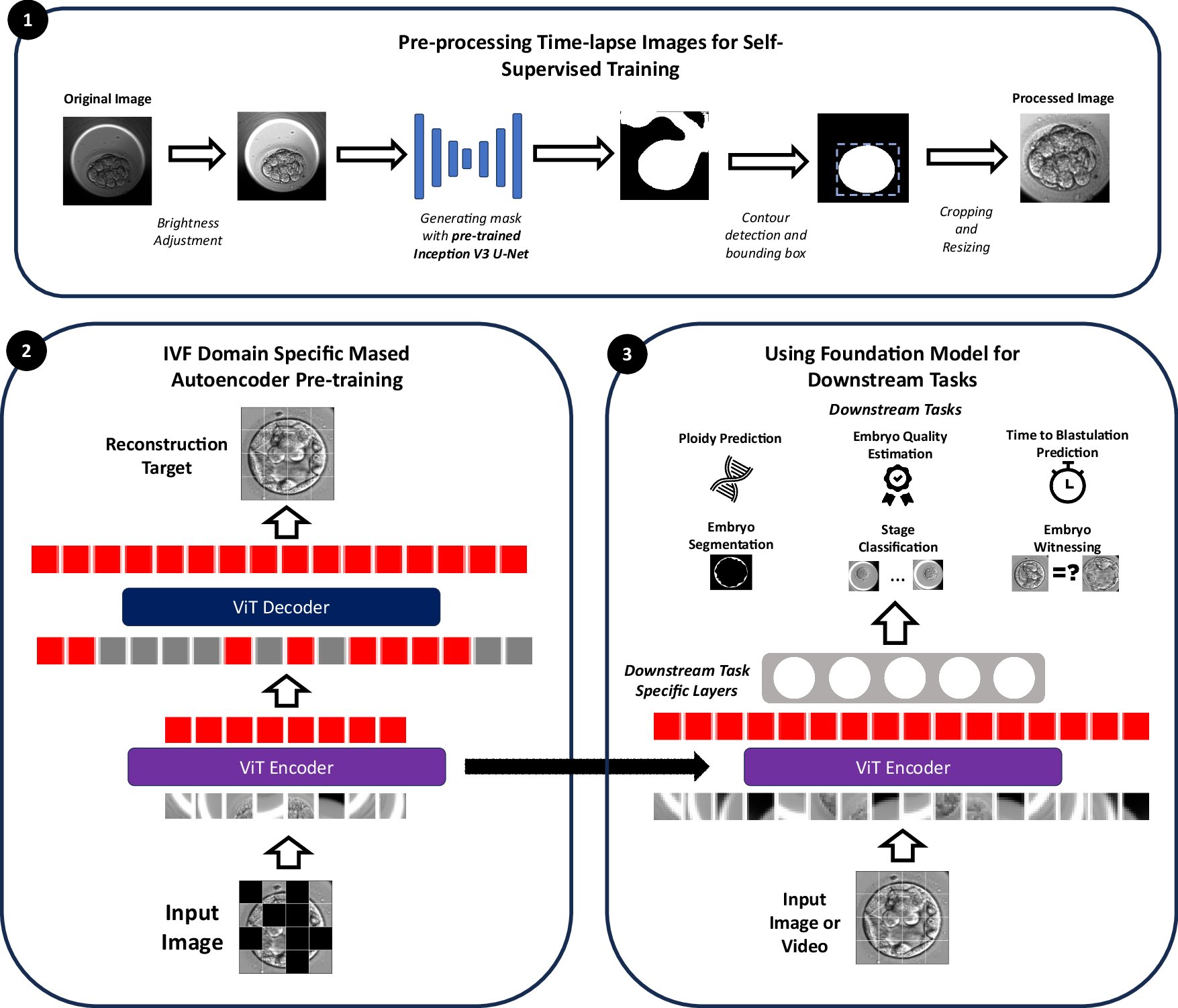sgqcheng's tweet card. Nature Communications - In vitro fertilisation relies on accurate, non-invasive embryo evaluation to improve success rates. Here, authors present a foundation model trained on 18 million time-lapse...