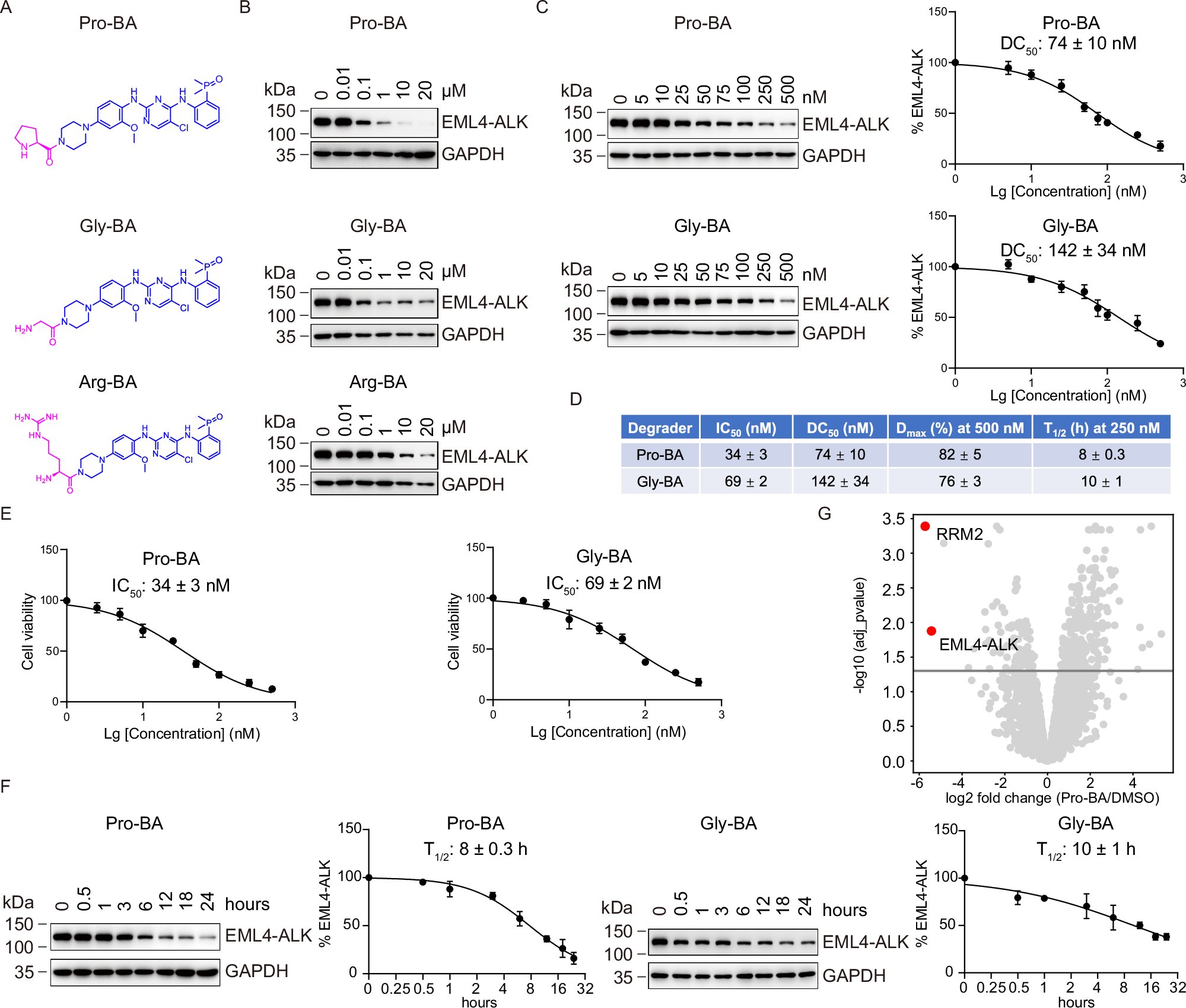 ZPokladek's tweet card. Nature Communications - Linkers are traditionally seen as important for PROTAC activity. Here, the authors demonstrate that linker-free PROTACs can outperform traditional designs, marking a...