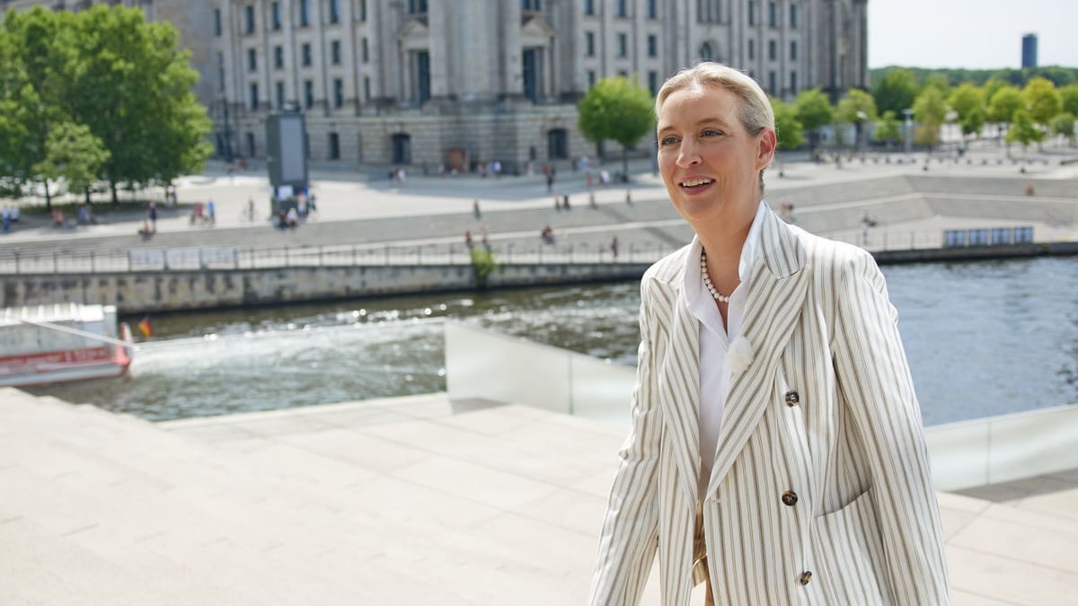 tomdabassman's tweet card. Trillerpfeifen, Trommeln und ein verunglimpfendes Lied störten das Sommerinterview mit Alice Weidel. Die ARD will daraus nun Schlüsse ziehen.