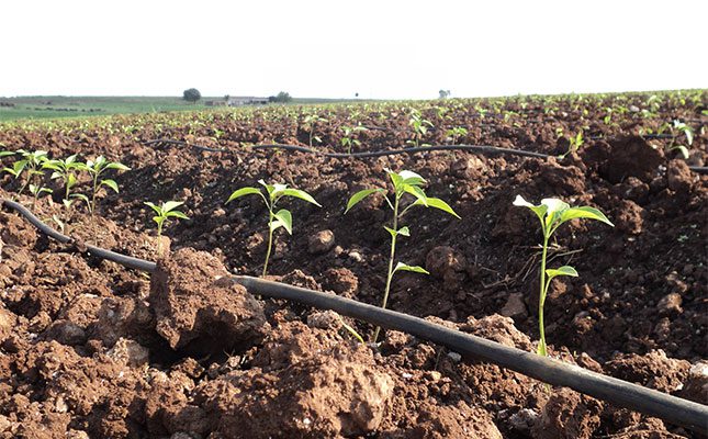 FarmersWeeklySA's tweet card. Higher fertiliser prices are on the cards for the upcoming summer planting season, as trade policies and sanctions take their toll on supply.
