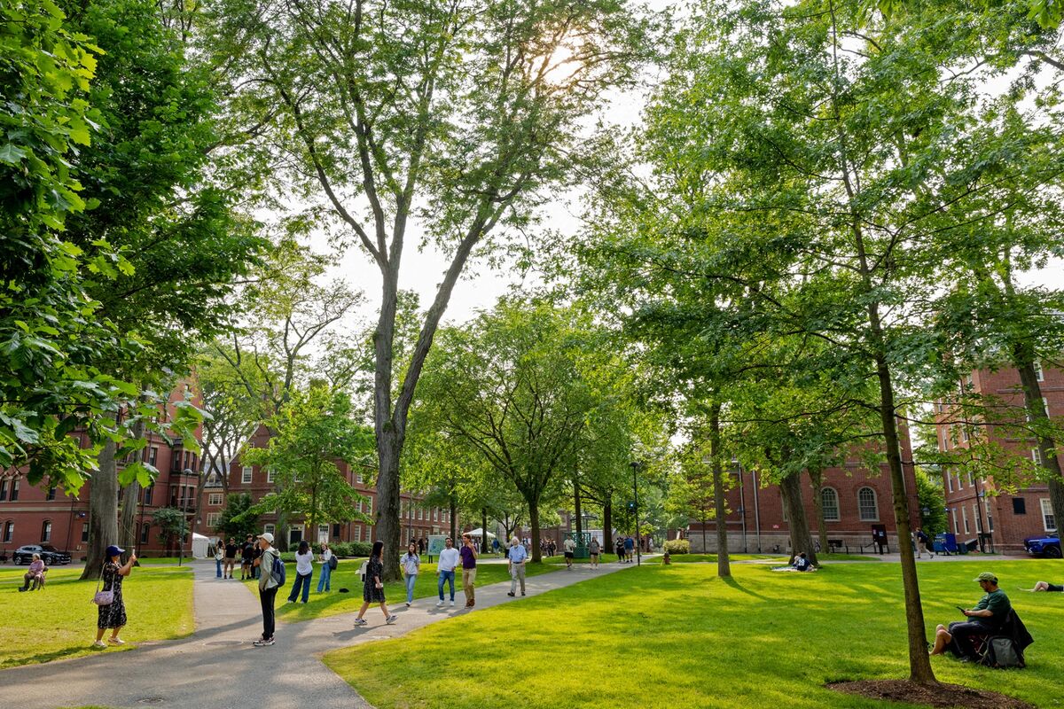 JanetLorin's tweet card. Some faculty want Harvard to resolve the clash with Trump before punishing financial penalties cause irreparable damage to the school and the US.