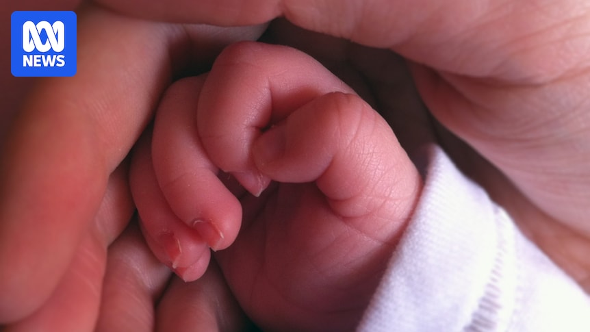 nutrikenny's tweet card. Researchers in the United Kingdom have announced the successful birth of eight babies after a clinical trial of an IVF technique known as mitochondrial donation.