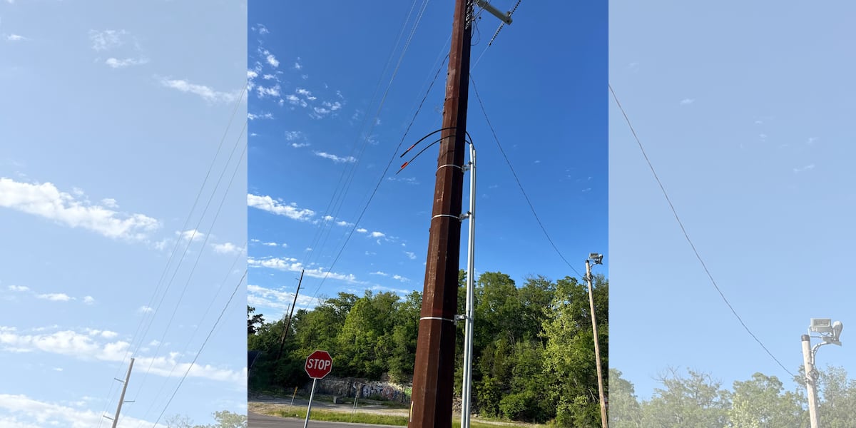 Patty4MO's tweet card. A $25,000 reward has been offered for information about Spectrum outages.