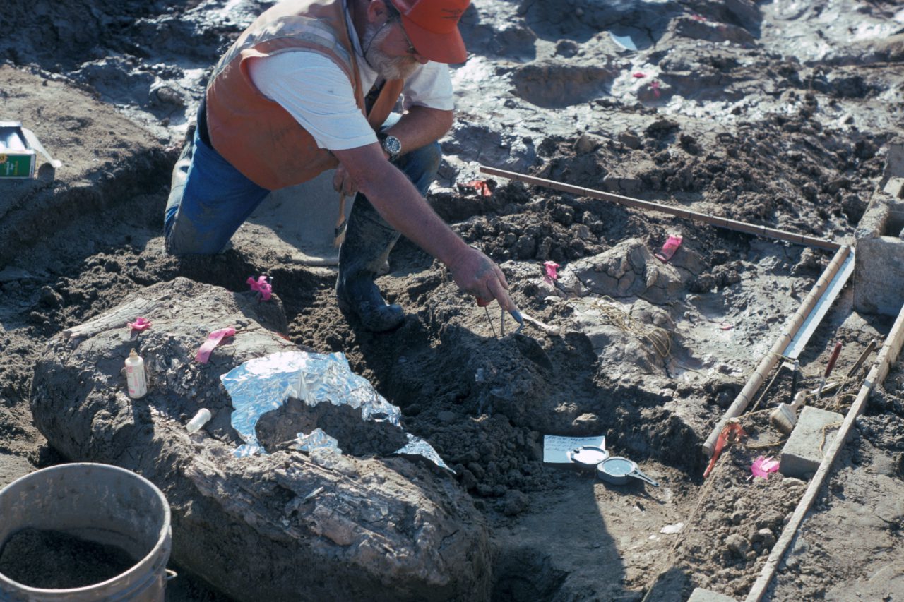 SAPIENS_org's tweet card. A controversial new study places our human ancestors on the North American continent 130,000 years ago—far earlier than previously thought.