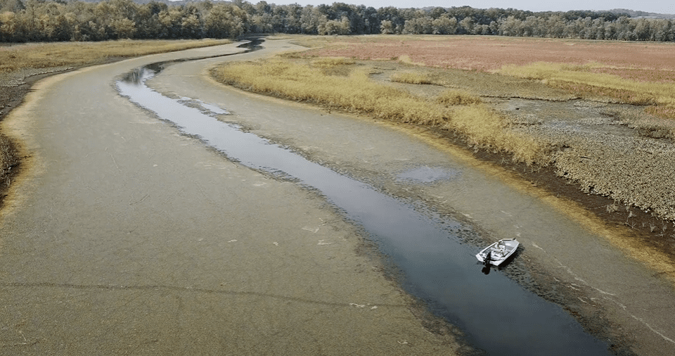 ctexaminer's tweet card. The use of a broad-spectrum herbicide banned in Europe, China and the United Kingdom to combat a fast-growing invasive in the Connecticut River has alarmed residents who were warned (wrongly) […]
