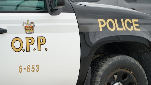greggsymonds's tweet card. A man in his early 20s is dead after a boating incident on Weslemkoon Lake in the Township of Addington Highlands, Ont., as provincial police warn of a "large number of marine incidents" over the...