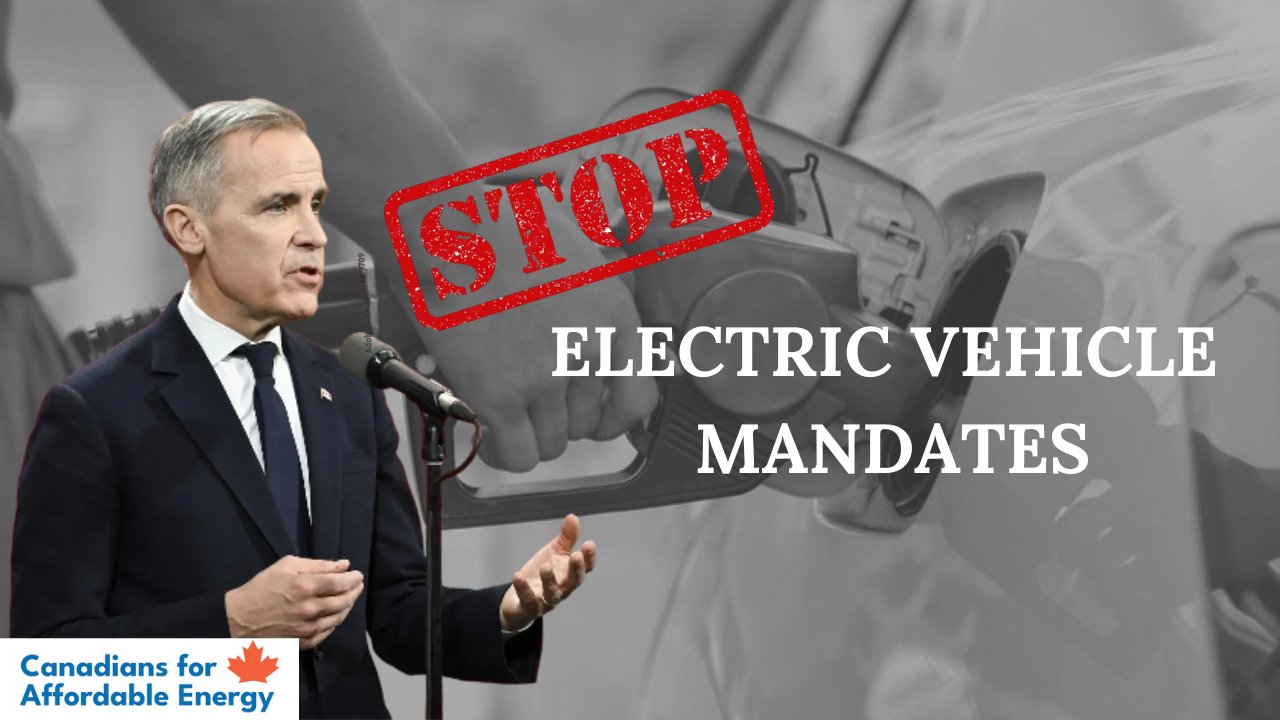 GasPriceWizard's tweet card. We believe Canadians should be allowed to choose which car to drive. But under Prime Minister Justin Trudeau, all new cars must be 100% “Zero Emission” – primarily electric – by 2035. That policy...