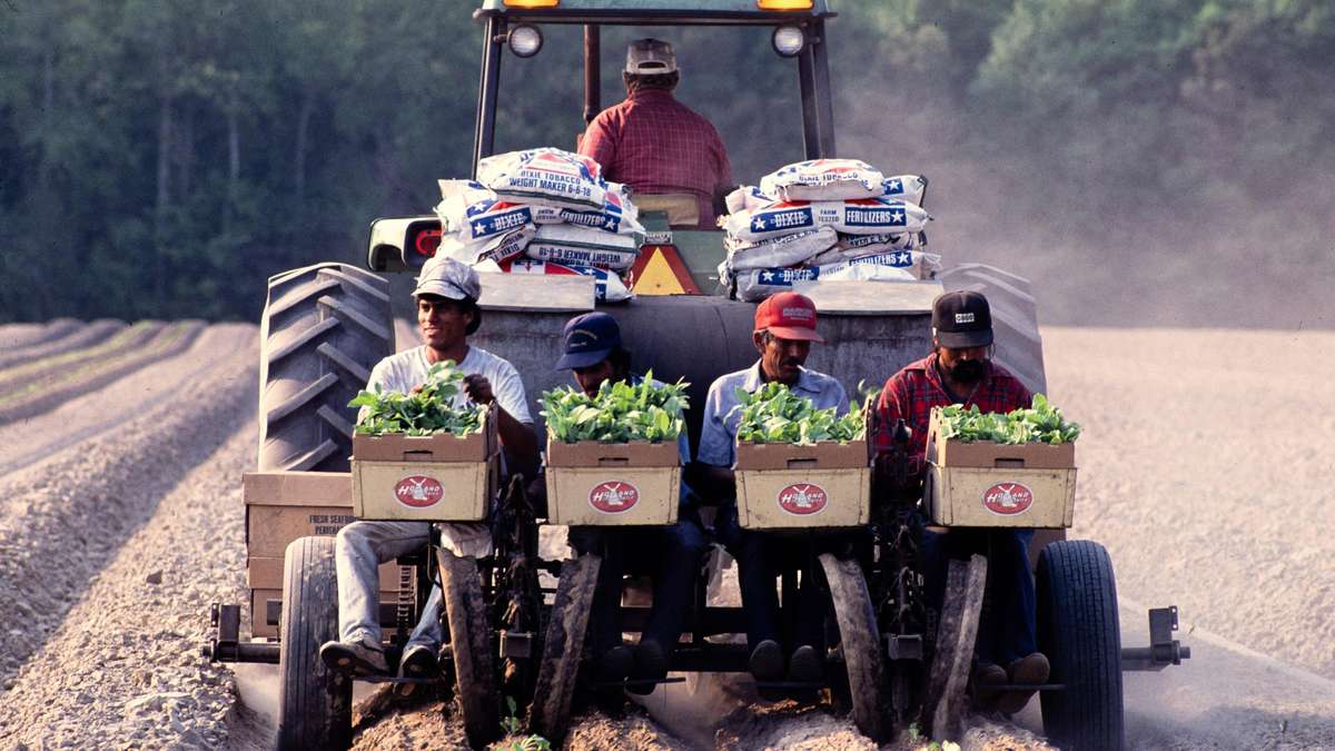 thenmakeachange's tweet card. US-Farmer sollen selbst „Verantwortung“ über ihre illegale Arbeiter übernehmen: Kritiker sehen...