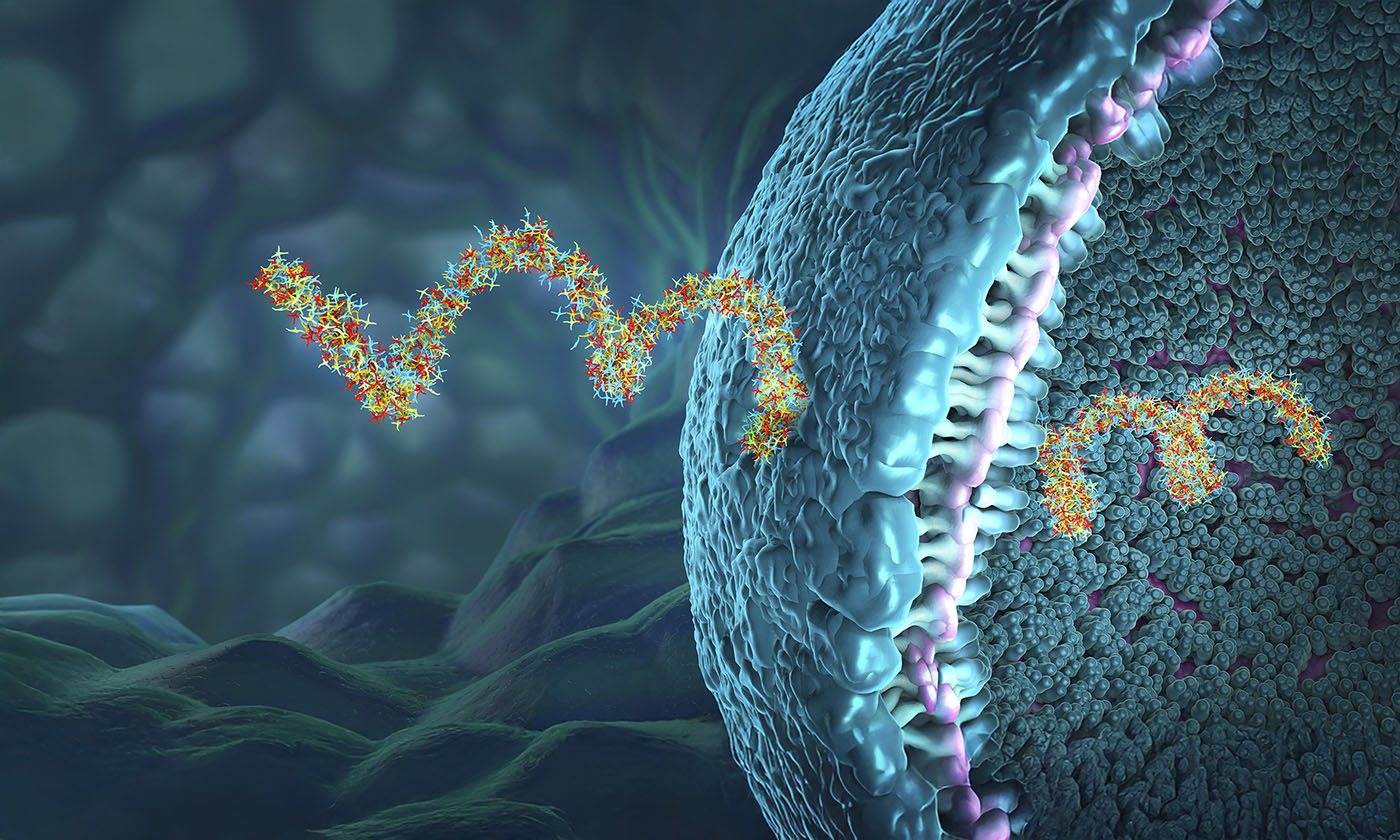 GENbio's tweet card. No longer a mere assistant who carries out the commands of DNA, RNA takes the lead in emerging therapeutics.