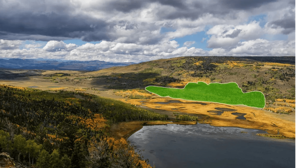 BiophysicsFL's tweet card. Pando covers 42.6 hectares, and its name means “I spread”.