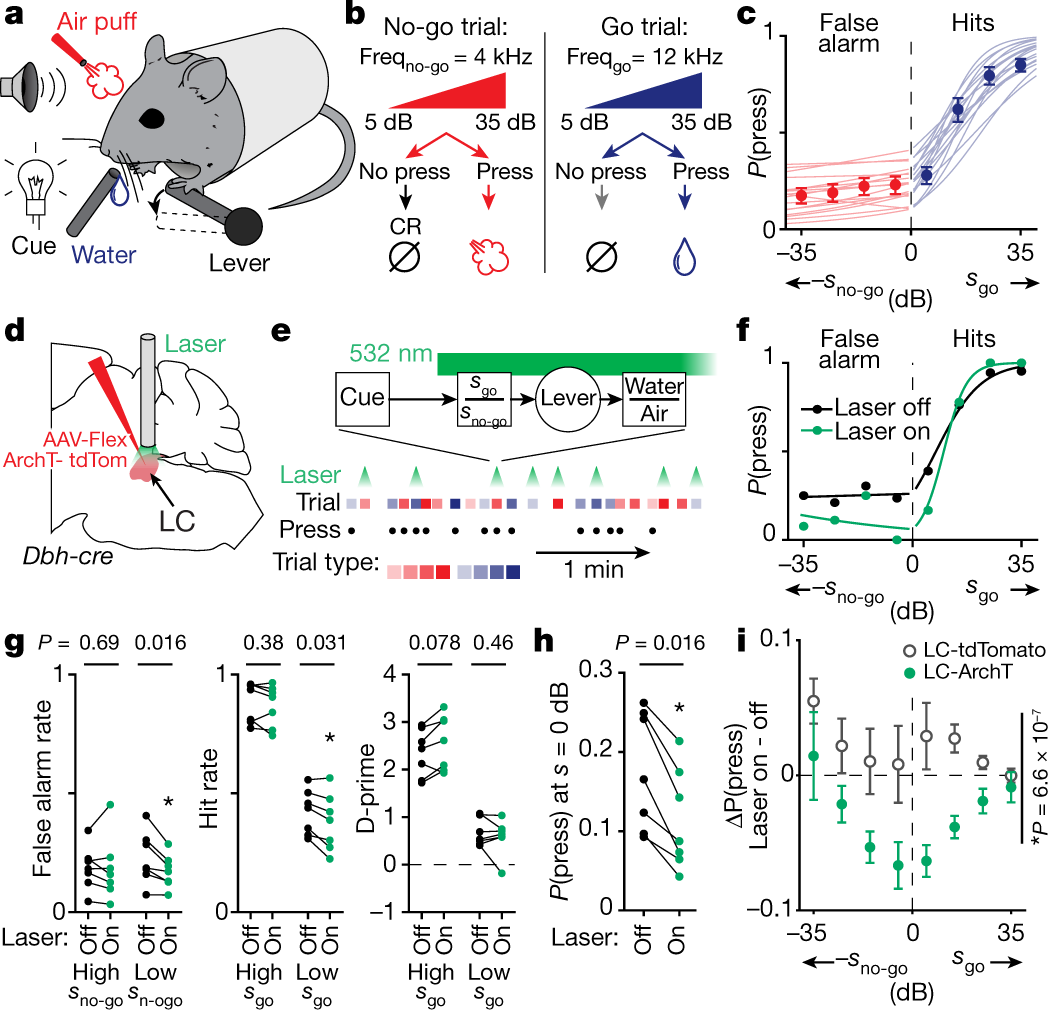 vbprovencher's tweet card. Nature - Noradrenaline-expressing neurons in the locus coeruleus in mouse facilitate task execution and encode reinforcement in learning tasks, via partially modular projections to the cortex.