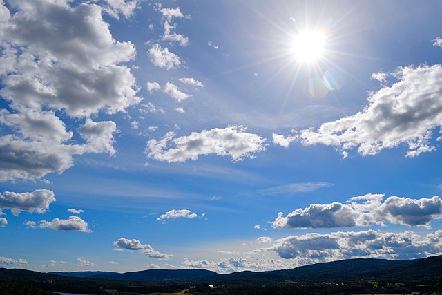 bwog's tweet card. Finals are over, and the clouds have parted. Editor’s warning: mentions of death. Bwogline: A Mexican Navy ship struck the Brooklyn Bridge around 8:30 pm last night, killing at least two and injuring...