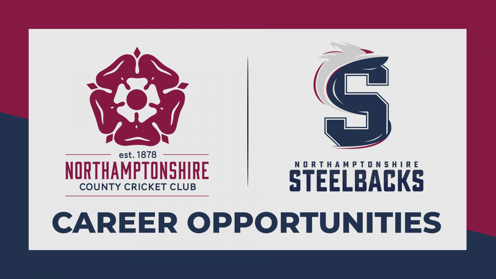 SteelbacksITC's tweet card. Careers - Northamptonshire CCC