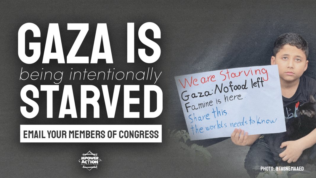 steventsacco's tweet card. As of June 29, 2025, nearly 600 Palestinians have been killed by the Israeli military while attempting to get aid near sites run by the "Gaza Humanitarian Foundation" – an organization run by the...