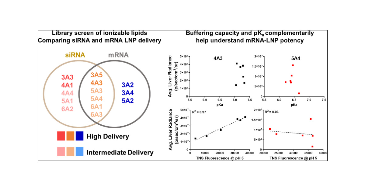 GDE_UTSW's tweet card. Lipid nanoparticles (LNPs) represent the most effective vehicle class identified to date for delivering RNA. A stronger understanding of the structure–activity relationships that govern successful...