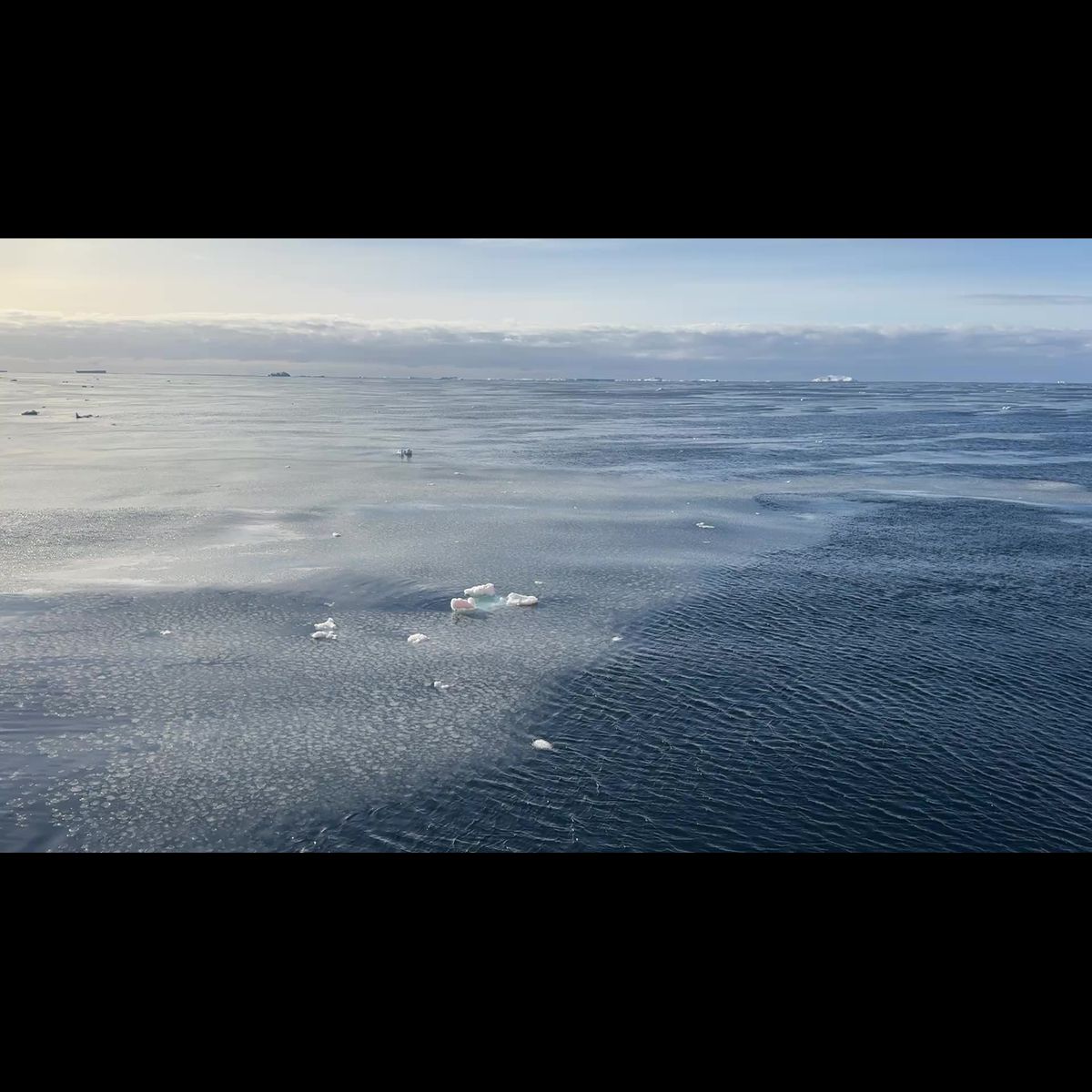 AnthonyPress's tweet card. Global impacts of Antarctic summer sea-ice extremes