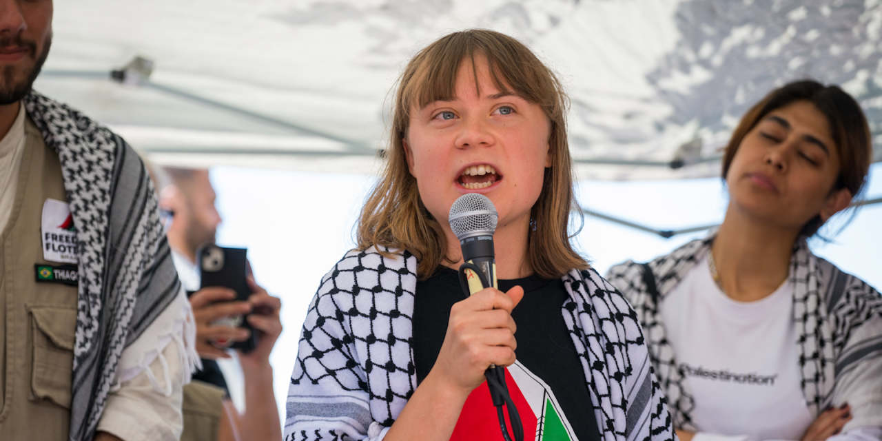jmalsin's tweet card. Activist Thunberg planned to bring humanitarian aid to Gaza in defiance of an Israeli blockade on the enclave.