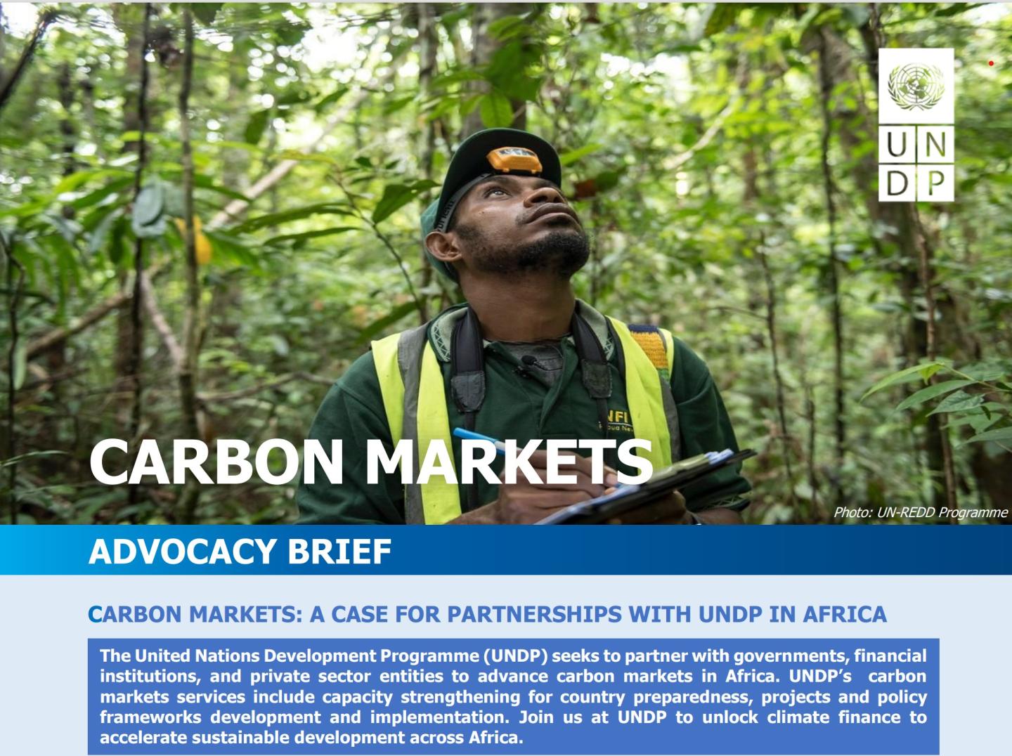 undpmalawi's tweet card. Join us at UNDP to unlock climate finance to accelerate sustainable development across Africa.