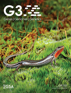 BioplatformsAus's tweet card. Congratulations to Benjamin Hanrahan, Kirat Alreja and colleagues, whose genome research on the alpine three-lined skink (Bassiana duperreyi) has been selected for the cover of the June 2025 issue of...